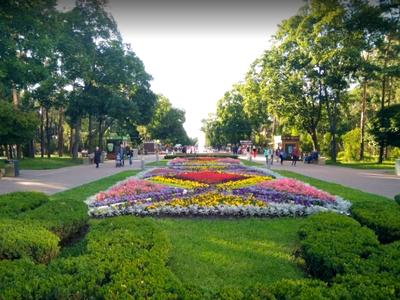 квартира за адресою Алішера Навої просп., 80