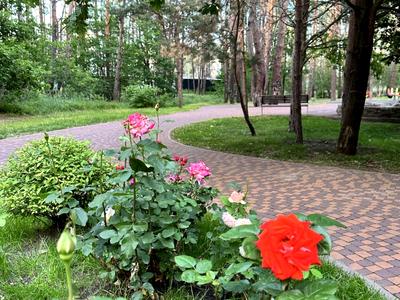 квартира за адресою Прорізна вул., 9