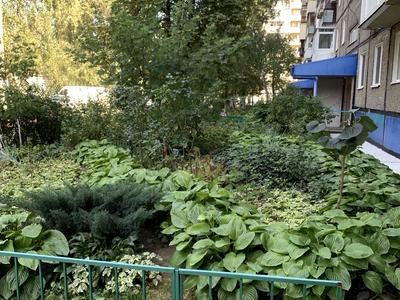 квартира за адресою Калинова вул., 76