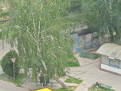 квартира по адресу Олімпійська ул., 2-А