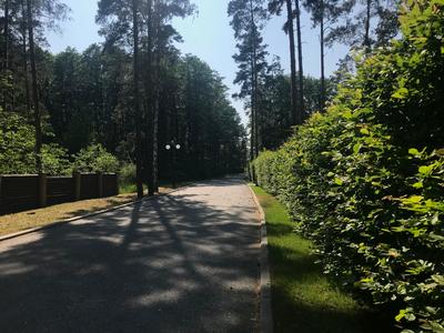 дом по адресу Петра Сагайдачного, 50