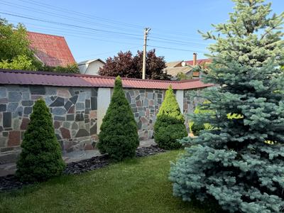 дом по адресу Лисенка, 38