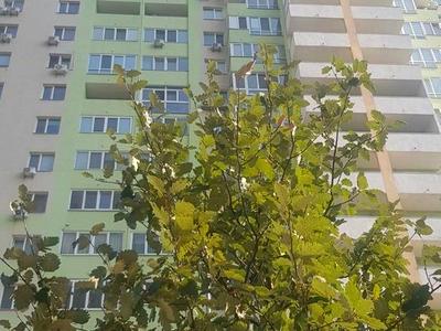 квартира за адресою Михайла Донця вул., 2-Б