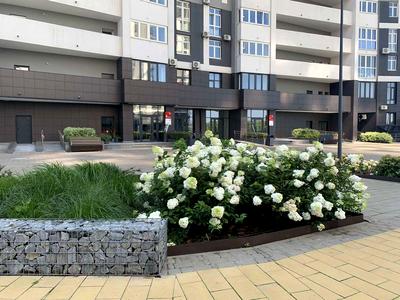 паркомісце за адресою Євгена Маланюка вул. (Степана Сагайдака), 101