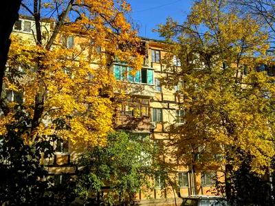 квартира за адресою Ольгерда Бочковського вул., 38
