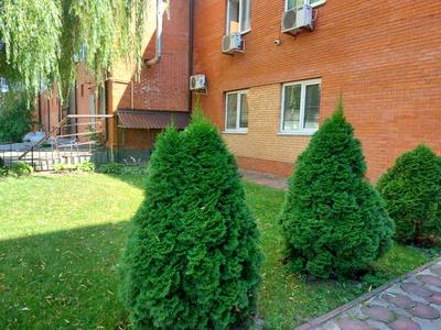 коммерческая по адресу Виставкова, 1