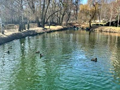 квартира за адресою Вишгородська вул., 45Б/1