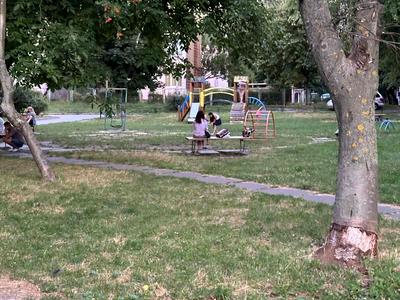 квартира за адресою Киприанова, 6