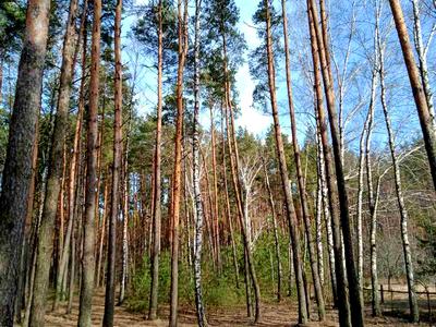 дом по адресу с. Якубовка, Березова, 25