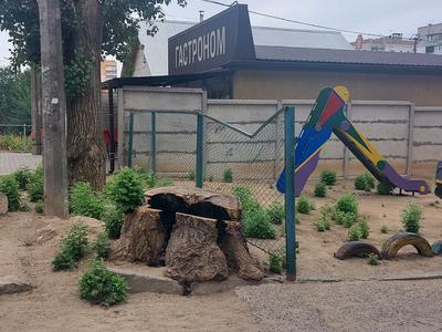 квартира по адресу Новобузька ул., 120