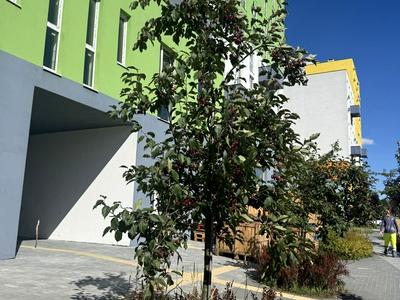 квартира за адресою Рудненська вул. (Білогорська), 1