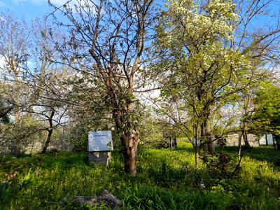 будинок за адресою Першотравнева, 4