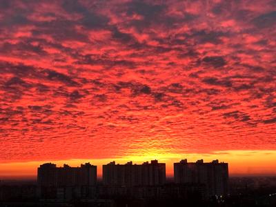 квартира по адресу Сергея Москаленко ул. (Красовського), 8-Б