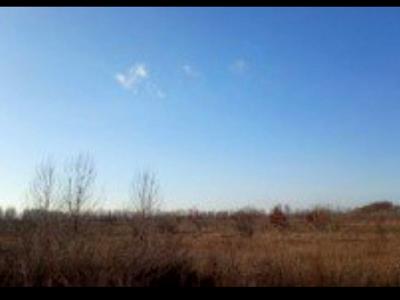 участок по адресу с. Супруновка, 