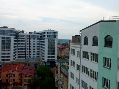 комерційна за адресою Бельведерська вул., 23