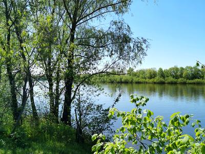 участок по адресу Окружна, 48