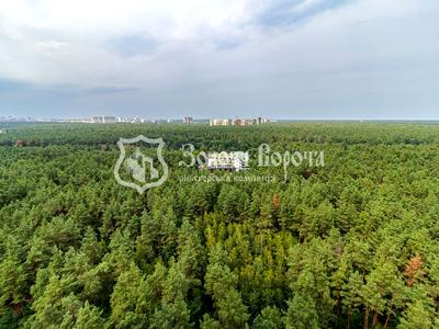 квартира по адресу Светлая ул., 3д