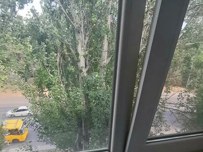квартира по адресу Краснова ул., 4