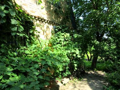 будинок за адресою Київ, Лугова вул., 14