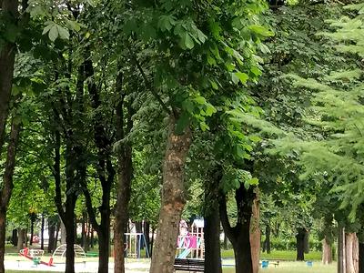 квартира по адресу Ивана Дзюбы ул. (Сімʼї Сосніних), 12-А