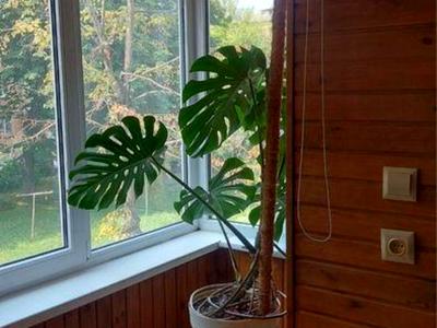 квартира за адресою Преображенська вул. (Івана Клименка), 21
