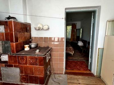 будинок за адресою с. Велика Калинка, Зелена
