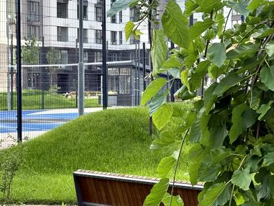 квартира по адресу Святослава Храброго ул., 11-Б