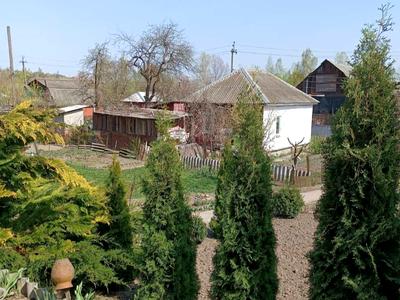 дом по адресу Кропивницкого ул., 137