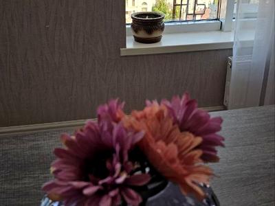 квартира за адресою Французский бульвар, 60Г