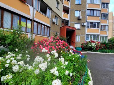 квартира за адресою Василя Порика просп., 9-В