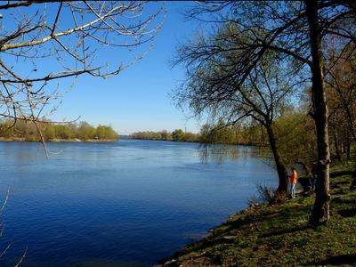 участок по адресу с. Осещина, Трояндова