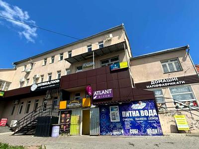 комерційна за адресою Панаса Мирного вул., 4/2