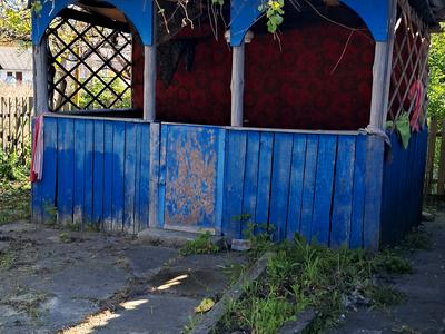 дом по адресу Пашини