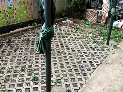 квартира по адресу Дача Ковалевского ул., 101А