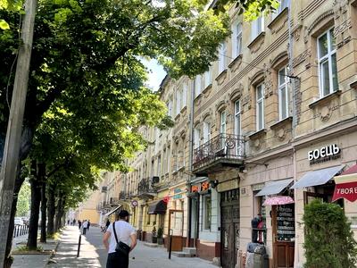 квартира по адресу Черновола просп. (700-летия Львова), 23