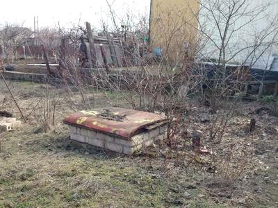 ділянка за адресою Радісна