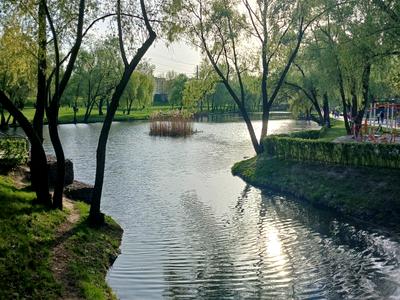 квартира по адресу Николая Кибальчича ул., 3-Б