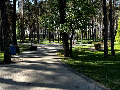 квартира за адресою Літературна вул. (Чехова), 4-Є