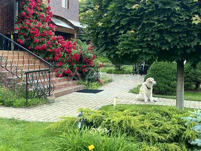 дом по адресу Соборна ул.