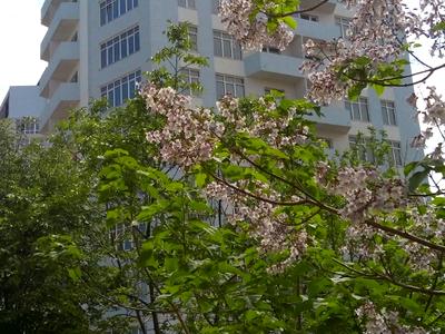 квартира по адресу Радостная ул., 21
