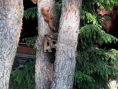 будинок за адресою Кільцева вул.