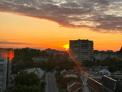 квартира по адресу Кульпарковская ул., 156а