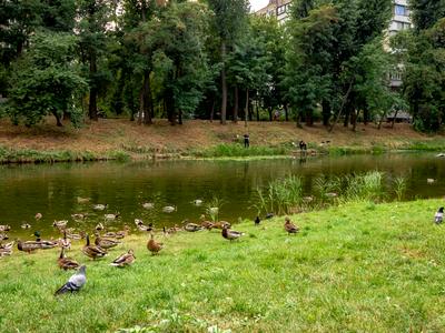 квартира за адресою Київ, Дмитра Луценка вул. (Крейсера 