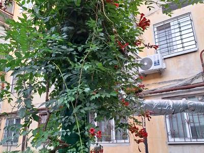 квартира за адресою Батумська вул., 14