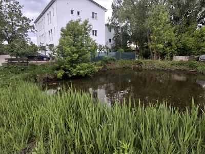 квартира за адресою Солов'яненка, 1
