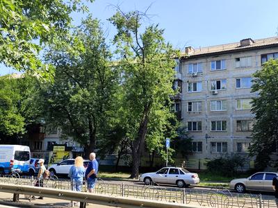 квартира по адресу Остафия Дашкевича ул. (Курнатовского), 22