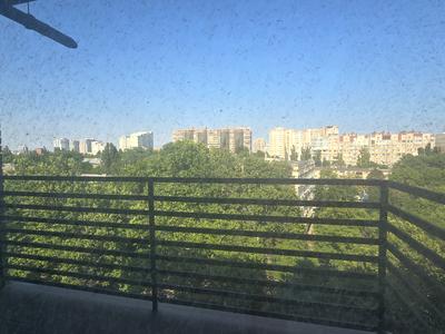 квартира за адресою Фонтанська дорога вул., 6а