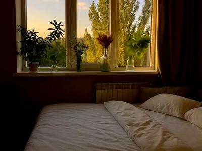 квартира за адресою Олега Мудрака вул. (Генерала Наумова), 25