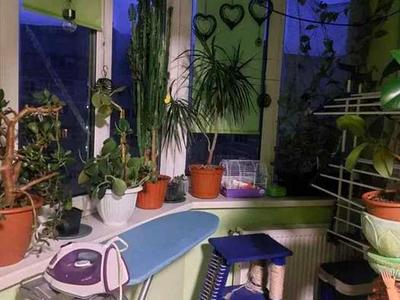квартира за адресою Теплична вул., 48