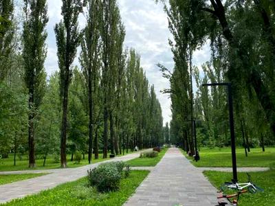 квартира по адресу Елены Телиги ул., 25